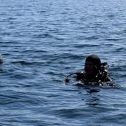 Mină marină