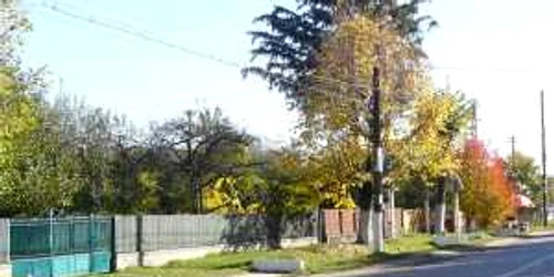 Subvenţia va fi achitaă integral în decembrie