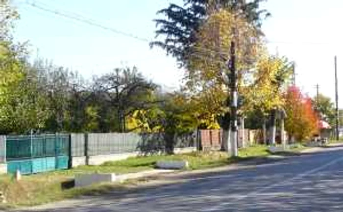 Subvenţia va fi achitaă integral în decembrie