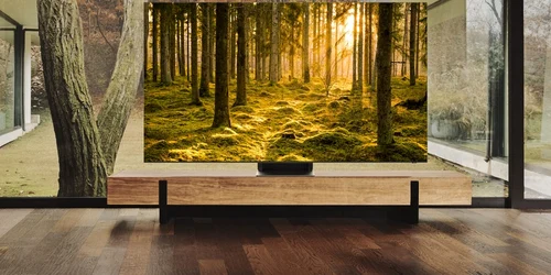 Samsung TV QN900B Lifestyle