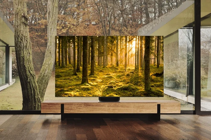 Samsung TV QN900B Lifestyle.