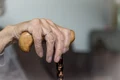 hand 3672958 1280 jpg