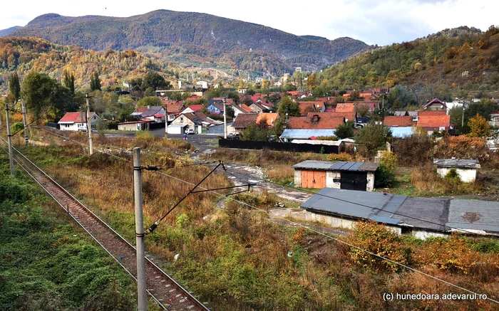 Colonie în Vulcan. Foto: Daniel Guță