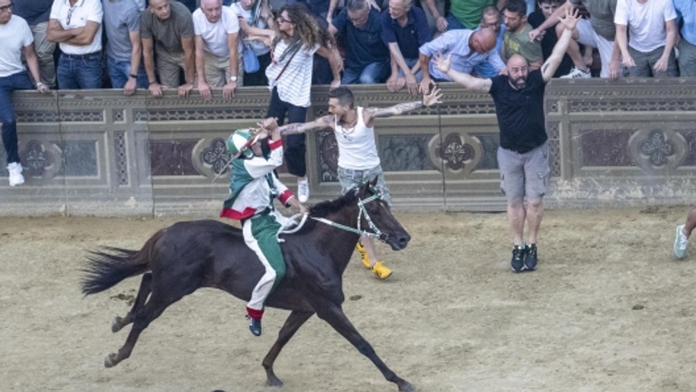 Cea mai „sălbatică” cursă de cai se ține în Italia. Sport extrem la „Palio di Siena”, cu jochei aruncați la viteze amețitoare