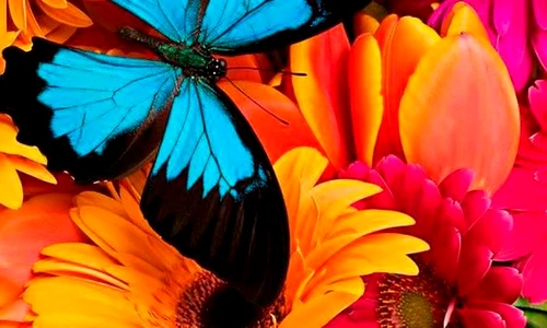 1 71619 original jpg jpeg