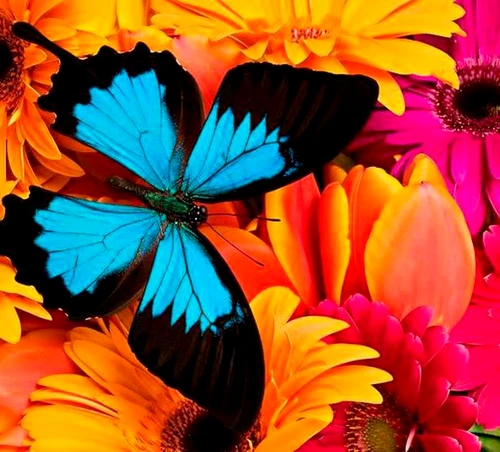 1 71619 original jpg jpeg