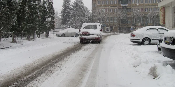Zăpadă Zalău