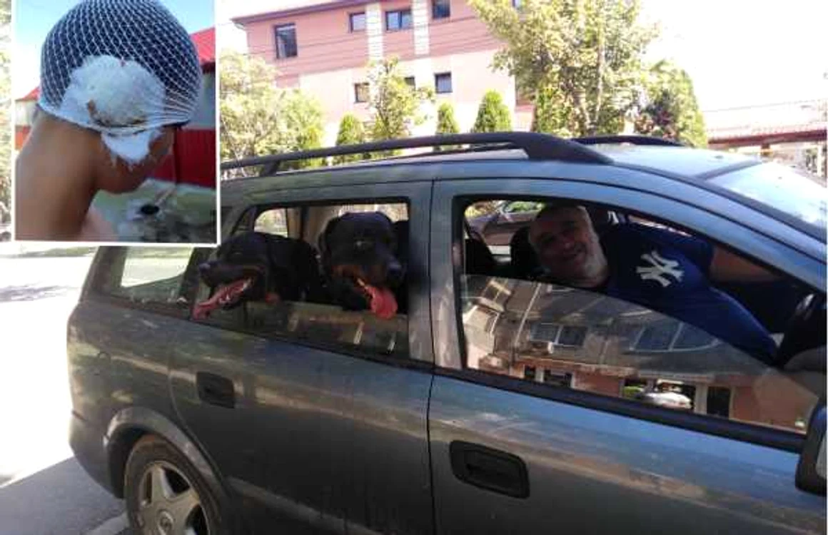 Câinii orădeanului sunt la al doilea atac, în decurs de două luni