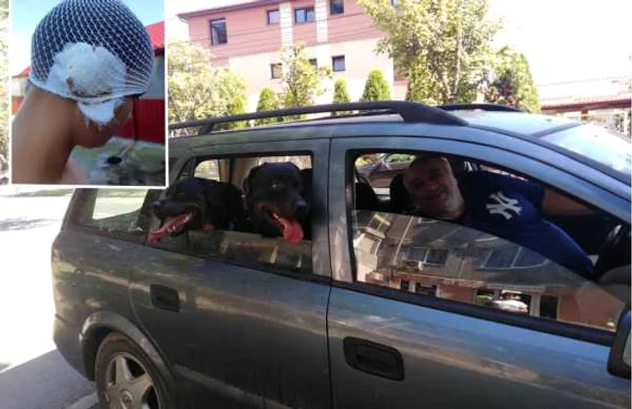 Câinii orădeanului sunt la al doilea atac, în decurs de două luni