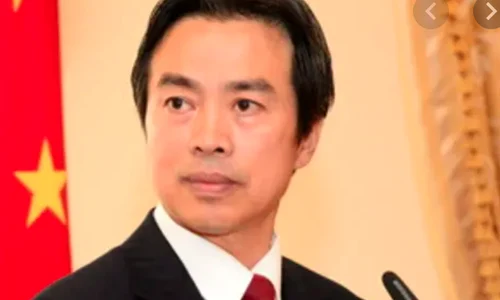 du wei png