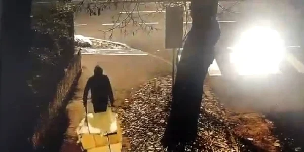 Poliţia Locala 
