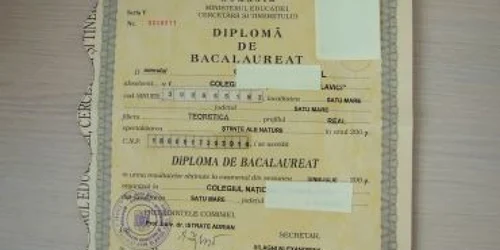 Satu Mare: Reţea de falsificatori de permise şi diplome, anihilată de poliţişti
