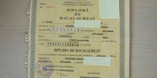 Satu Mare: Reţea de falsificatori de permise şi diplome, anihilată de poliţişti