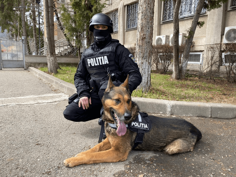 Cine sunt Jimy şi Oscar, poliţiştii cu blană care bagă frica-n infractori. „Ne înţelegem din priviri“