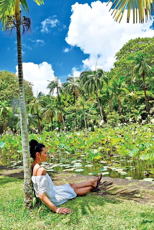 Insula are o vegetaţie luxuriantă şi fructe aromate care nu se pot compara cu oferta supermarketurilor noastre