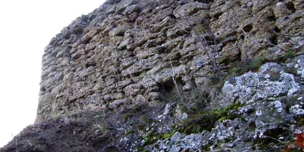 cetatea tauti alba