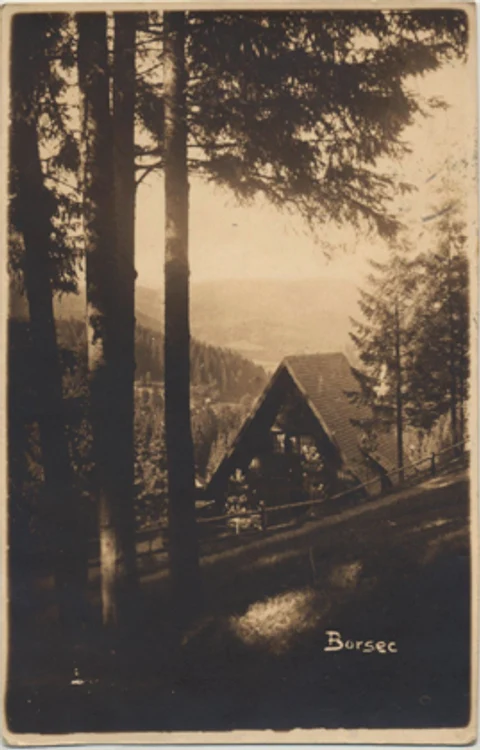 Cabană din zona Borsec. FOTO: Imagoromaniae