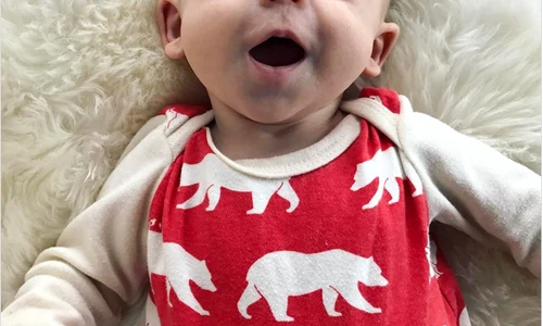 fiu katherine heigl png