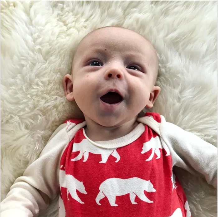 fiu katherine heigl png