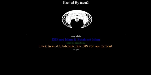 site hackuit. FOTO www.primariaberchisesti.ro
