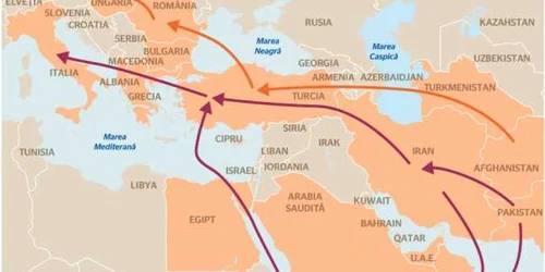 rute droguri