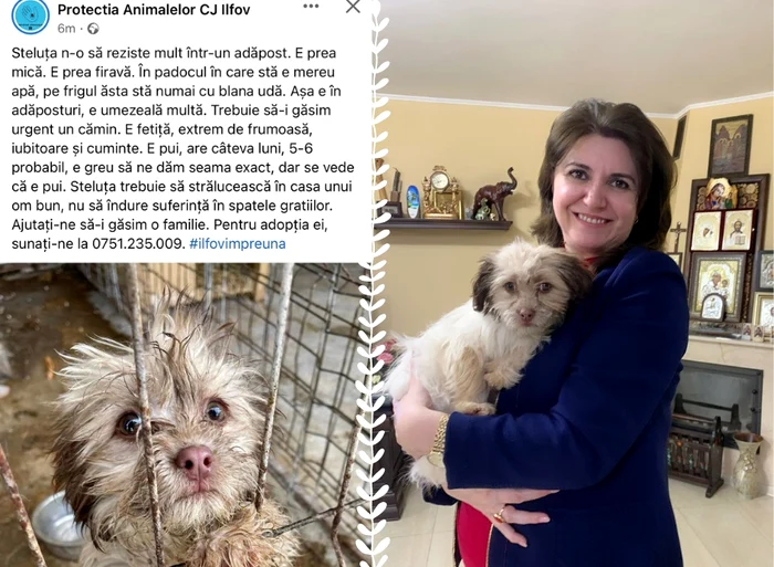 Steluța, în brațele noii stăpâne FOTO Facebook Monica Anisie
