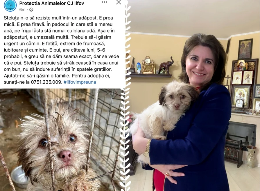 Steluța, în brațele noii stăpâne FOTO Facebook Monica Anisie