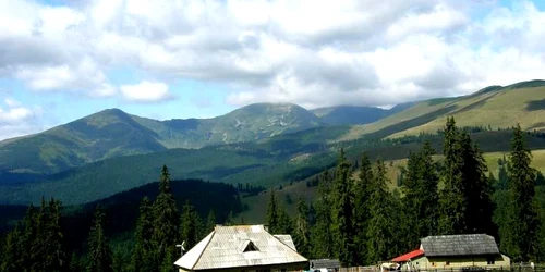 Cabana lui Liviu Croitor-arhiva