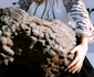 Adina Buzatu a petrecut zile de vis în Bucovina, alături de fiica ei și logodnicul acesteia foto: arhivă personală 
