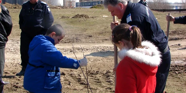 Cei 300 de arţari au fost plantaţi în cartierul Bârseşti 