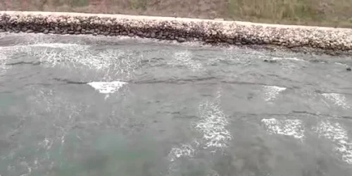 5ca8885f445219c57e2cafcb jpg