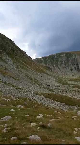 Bărbat mușcat de ureche de o viperă. Starea de sănătate a victimei s-a degradat foarte repede