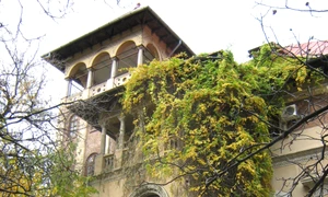 Ultimul an din viaţa Bibliotecii Pedagogice jpeg