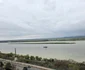 A înverzit insula din mijlocul Dunării