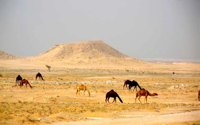 Clima deşertică din Qatar este o mare provocare pentru dezvolatatori