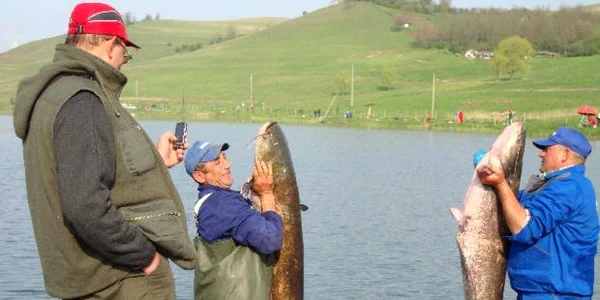 pescuit alba 