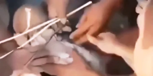 bebelus salvat dintre daramaturi png