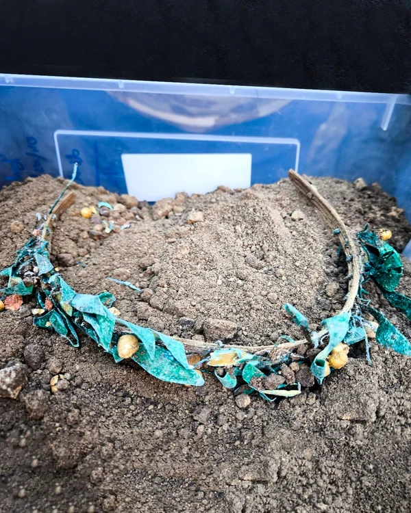 Descoperiri arheologice în apropiere de Mangalia (©MNIR)