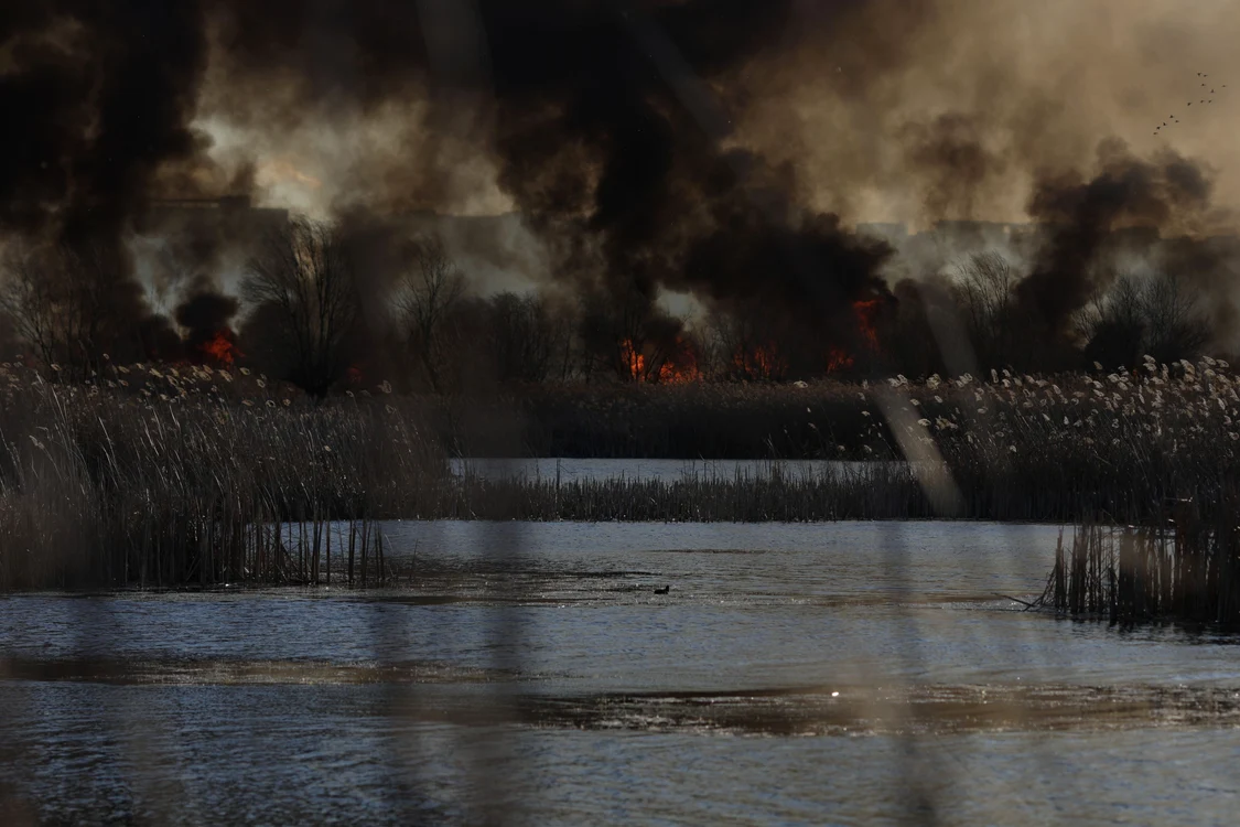 Mai multe echipaje de pompieri au intervenit luni, 24 februarie, pentru stingerea incendiului din Delta Văcăreşti