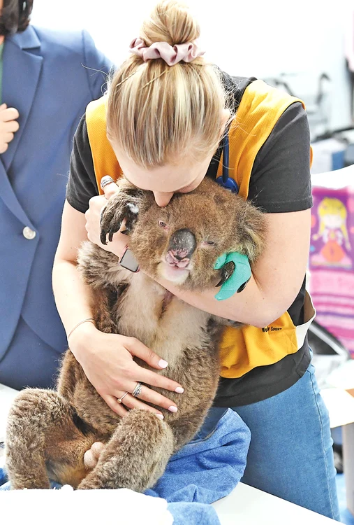 Asistentele îi tratează  pe micuţi ca pe nişte  copii neajutoraţi