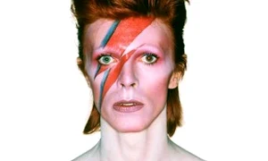 bowie aladin sane custom 290x320 06200686 0 jpeg
