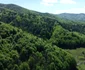Valea Anineșului și cetatea dacică Vârful lui Hulpe Foto Daniel Guță (4) JPG