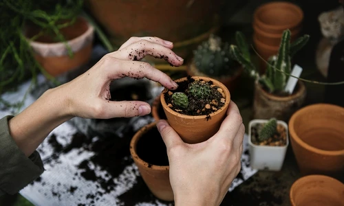 1 85261 original jpg jpeg