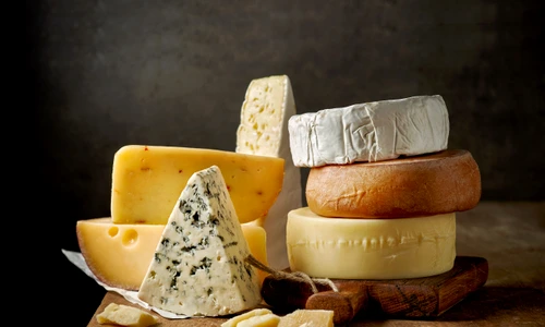 shutterstock 533946397 jpg