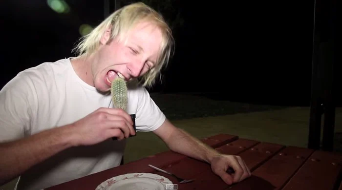 Uneori inepţia doareFoto Youtube