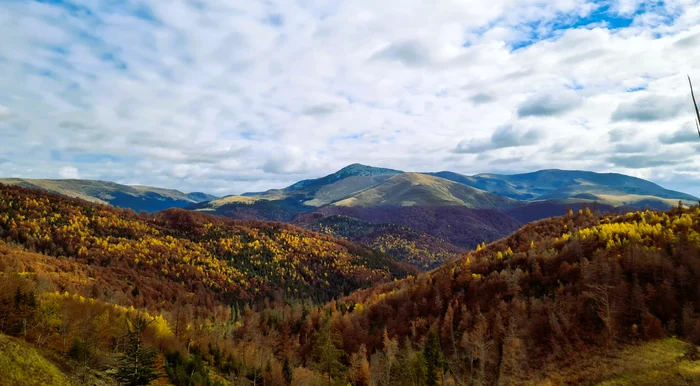 Fascinantele păduri din județul Caraș Severin FOTO Romsilva
