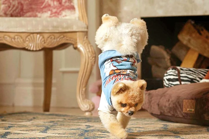 “Uite, fac şi roaba!”