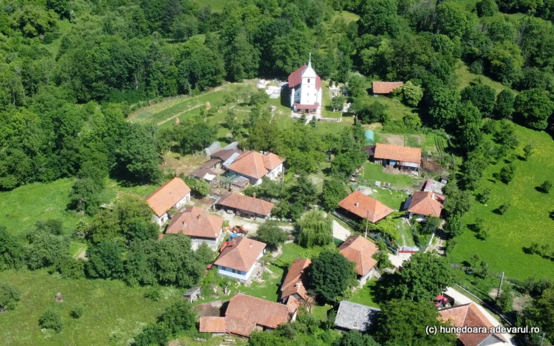 lelese foto daniel guta adevarul