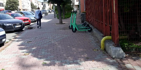 bolttrotineta Dansofronia jpg