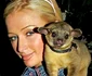5 paris hilton jpg jpeg